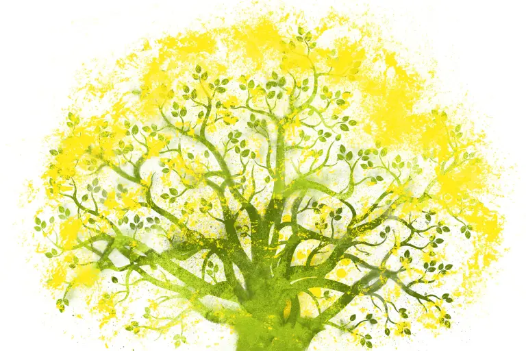 Stablo, održivost, Zemlja, klima