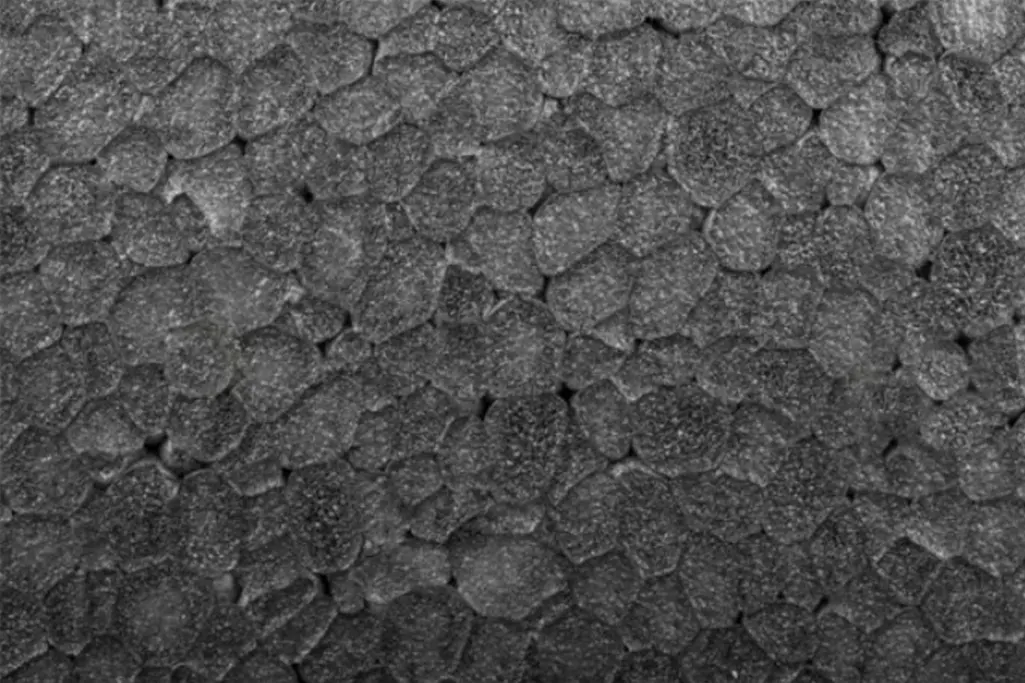 Polistiren (EPS) – ekonomična i raznovrsna toplinska izolacija